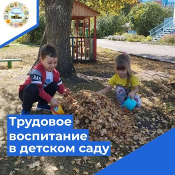 Первые шаги самостоятельности